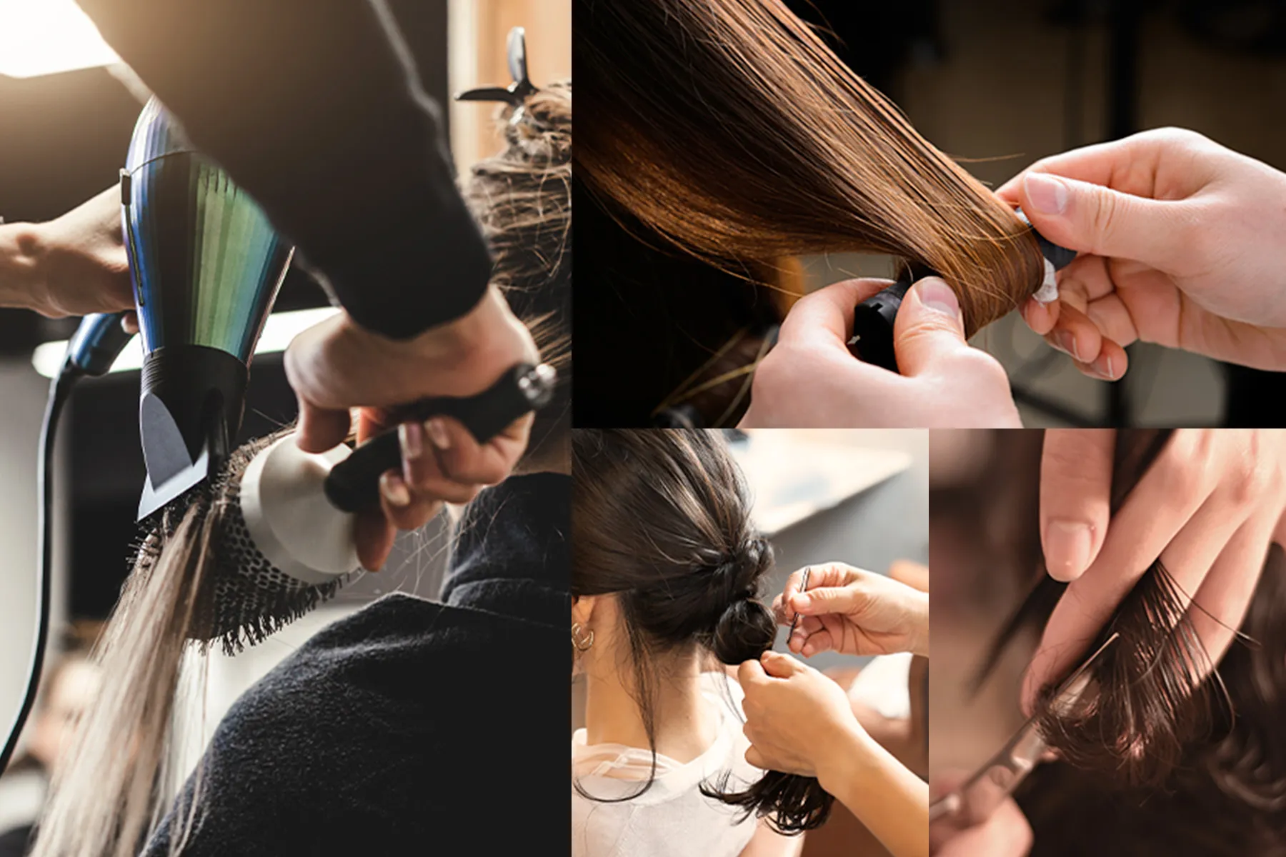 中途採用実施中